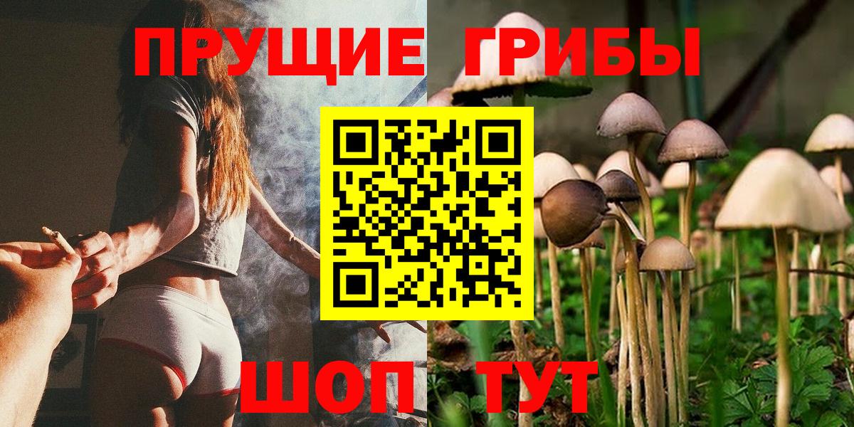 Псилоцибиновые грибы Cubensis Майкоп